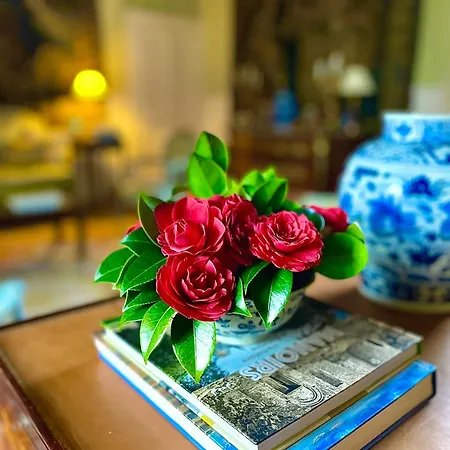 Bed and breakfast Chateau De Cadouzan Saint-Dolay